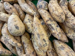 Pile of Fresh Unpeeled Sweet Potatoes