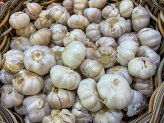 Basket Full of Fresh Garlic Bulbs