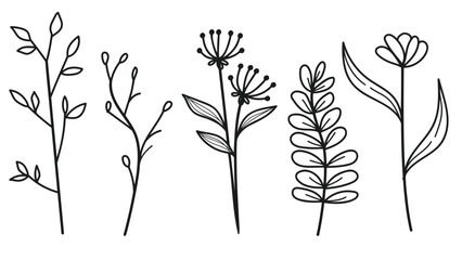 Naklejka premium Hand drawn botanical leaves and flowers line art collection