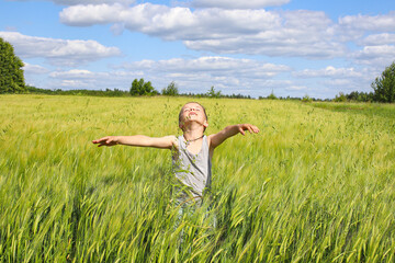 Little cheerful cheerful boy in the middle of a wheat field that is still green. Summer blue sky with white clouds. Undivided childish joy for life. Concept of connection with nature and a good harves