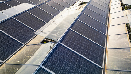 Greenhouse for growing vegetables with mounted photovoltaic solar panels on the roof, combining agriculture and solar energy for sustainable and eco-friendly food production.