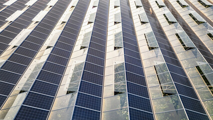 Sustainable greenhouse with rooftop solar panels bathed in morning sunlight for eco-friendly...