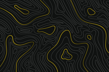 Abstract gold and gray line topographic contours on black background
