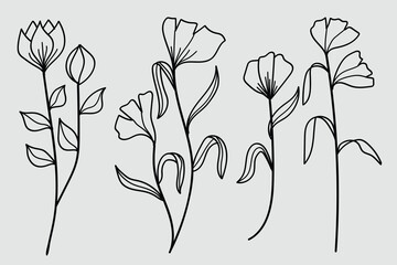 A collection of hand-drawn botanical line art featuring flowers, leaves, and wildflowers illustration.