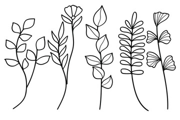 Hand drawn line art botanical leaves and flower elements set
