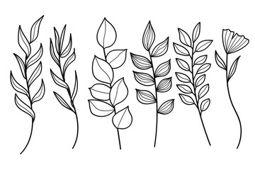 Hand drawn line art botanical leaves and flower elements collection. Vector illustration.