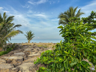 Coastal View with Palm Trees and Ocean