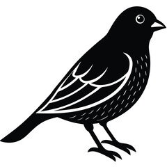 Obraz premium Canary bird single vector shilhouette 