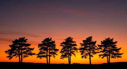 Obraz premium Silhouette of five trees against a vibrant sunset with colorful sky tones