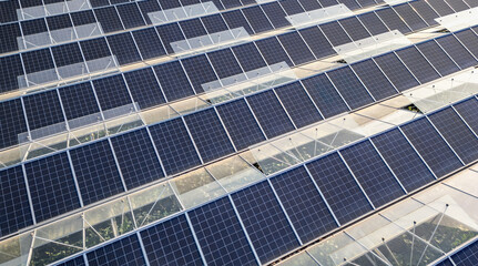 Greenhouse for growing vegetables with mounted photovoltaic solar panels on the roof, combining agriculture and solar energy for sustainable and eco-friendly food production.