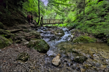 Obraz premium Hikers crossing a wooden bridge over a mountain stream.