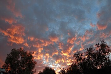 Dramatic sunset sky with clouds of orange and pink hues. Silhouetted trees frame the bottom edge