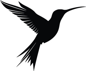 Fototapeta premium Elegant Hummingbird Silhouette: Vector Illustration, Dark, Graceful Design