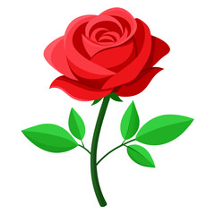 Vector illustration of a single red rose with green leaves, 
