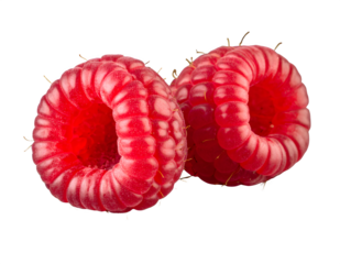 two red raspberries isolated on transparent background Generative Ai.
