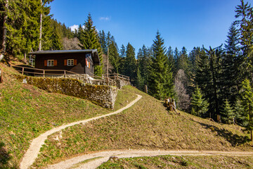 Landscape photo of an uphill climb in spring. Typical landscape in sunshine in the German Alps.