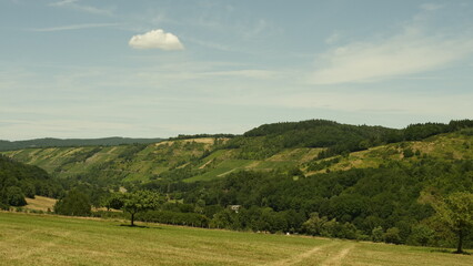 Weinberge im Dhrontal