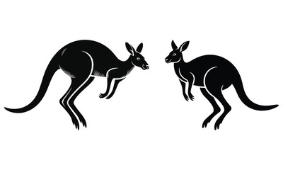 kangaroo vector illustration