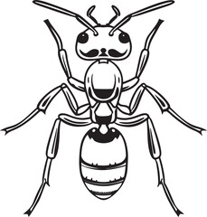 vector illustration of a cartoon spider