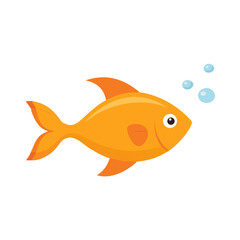 goldfish in a glass