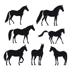 Black silhouettes of horses in various poses against a white background