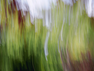 Creative ICM Fotografie, absichtliche Bewegung im Bild