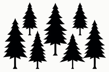 Silhouettes of evergreen trees in a forest setting