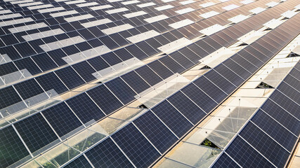 Sustainable greenhouse with rooftop solar panels bathed in morning sunlight for eco-friendly...