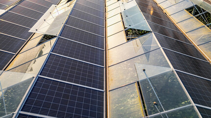 Sustainable greenhouse with rooftop solar panels bathed in morning sunlight for eco-friendly vegetable farming and renewable energy generation in a dual-use agricultural system.