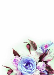 Bouquet of blue and pink roses on a white background with space for text.