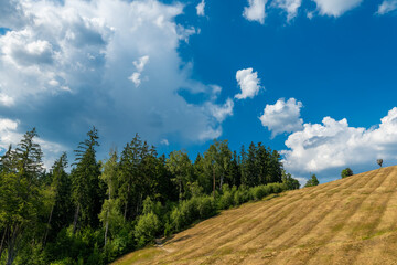 Expansive hills beneath a vibrant sky with fluffy clouds in a serene landscape setting during late afternoon