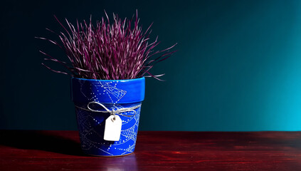Ornamental Purple Grass in a Decorated Blue Pot with Blank Label, Studio Shot.