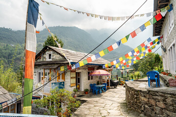 Himalayan Photography from Nepal – Hiking Adventures, Yaks, and Mountain Landscapes