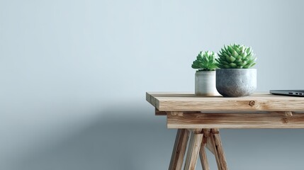 A light-gray wall, a wooden table with two small potted succulents, and a laptop computer sit on the table