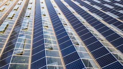 Greenhouse for growing vegetables with mounted photovoltaic solar panels on the roof, combining agriculture and solar energy for sustainable and eco-friendly food production.