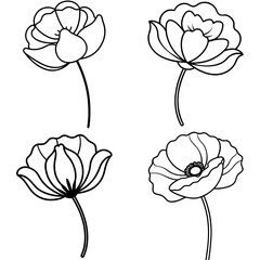 Dried Poppy Coloring Book Page - Botanical Flower Line Art Illustration for Kids and Adults