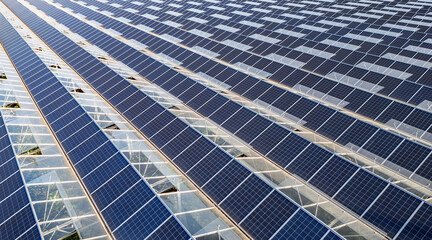 Greenhouse for growing vegetables with mounted photovoltaic solar panels on the roof, combining...