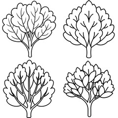 Shrub Coloring Book Page - Simple Plant Line Art Illustration for Kids and Adults