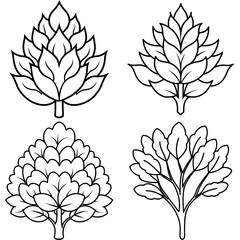Shrub Coloring Book Page - Simple Plant Line Art Illustration for Kids and Adults