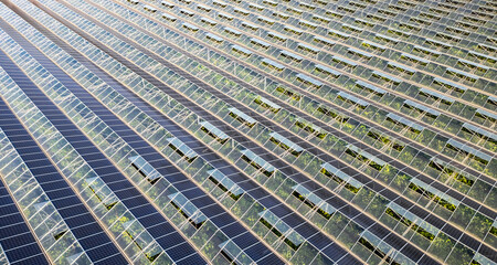 Sustainable greenhouse with rooftop solar panels bathed in morning sunlight for eco-friendly vegetable farming and renewable energy generation in a dual-use agricultural system.