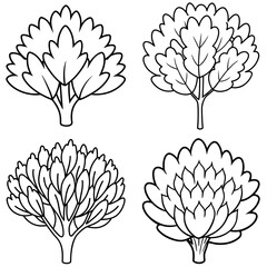 Shrub Coloring Book Page - Simple Plant Line Art Illustration for Kids and Adults
