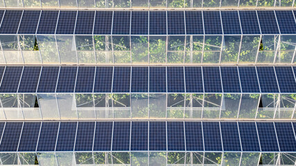 Greenhouse for growing vegetables with mounted photovoltaic solar panels on the roof, combining agriculture and solar energy for sustainable and eco-friendly food production.