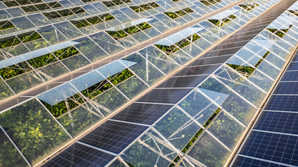 Sustainable greenhouse with rooftop solar panels bathed in morning sunlight for eco-friendly...