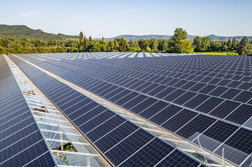 Sustainable greenhouse with rooftop solar panels bathed in morning sunlight for eco-friendly vegetable farming and renewable energy generation in a dual-use agricultural system.