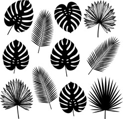 Tropical Paradise A Collection of Elegant Palm and Monstera Leaves Illustrations