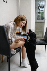 Young woman playing with black cocker spaniel puppy at dining table.
