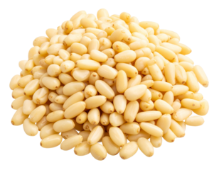 Pinion Nuts – Raw Pine Seeds Clipart