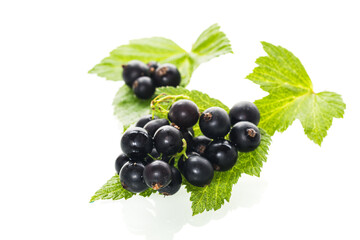 leaves and fruits ripe large blackcurrant berry isolated on white background