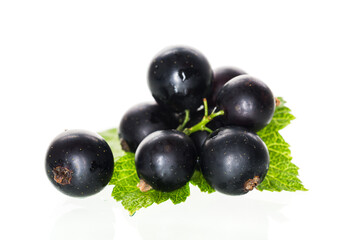 a handful of large black currant berries isolated on a white background