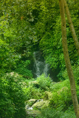 Exploring hiking trails near Kathmandu; one at a time